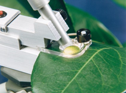 Chlorophyll Fluorometer © PP Systems Chlorophyll Fluorometer © PP Systems
